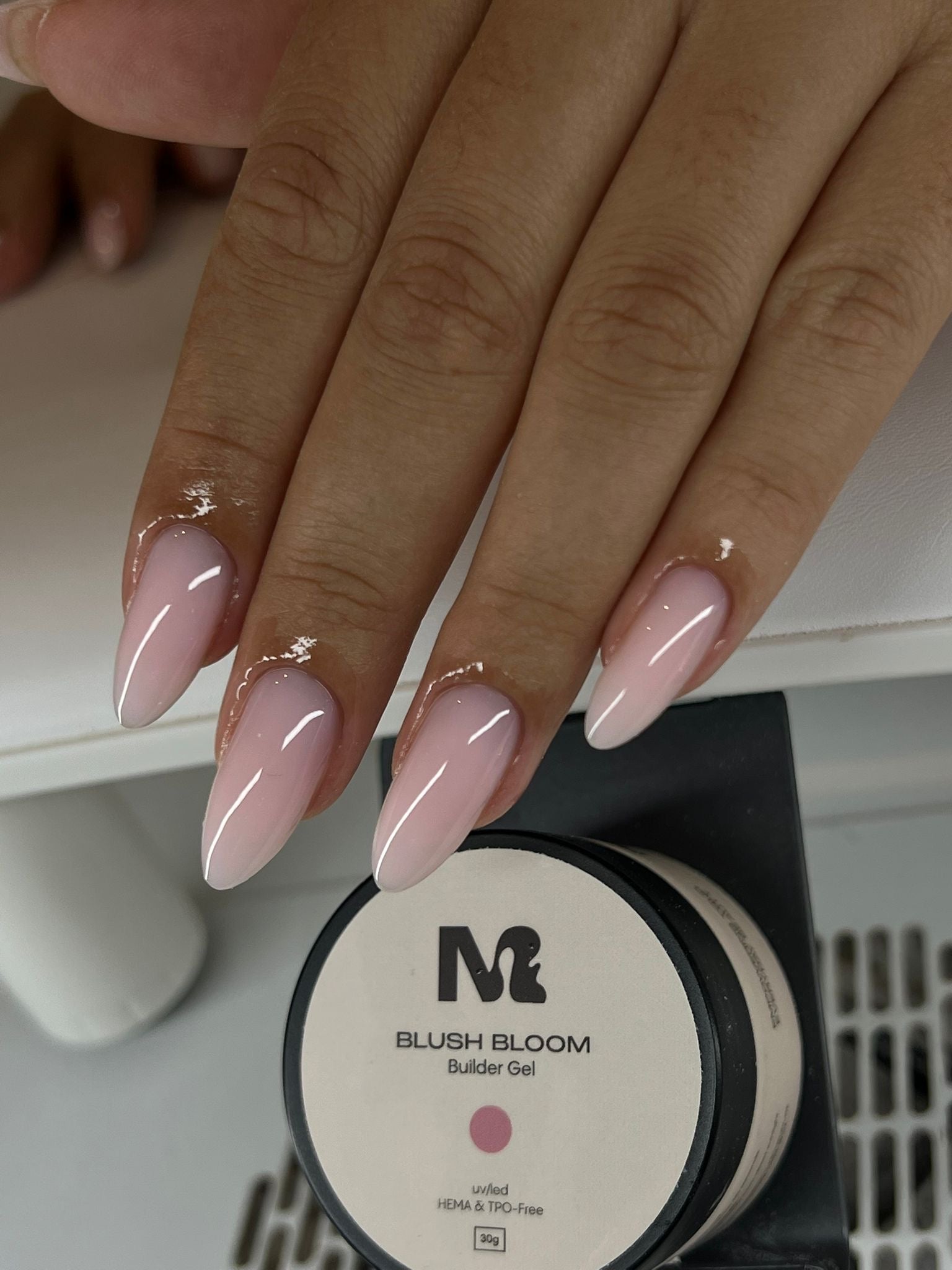 Blush Bloom